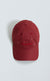 ASSISTANT DAD HAT FIRED BRICK