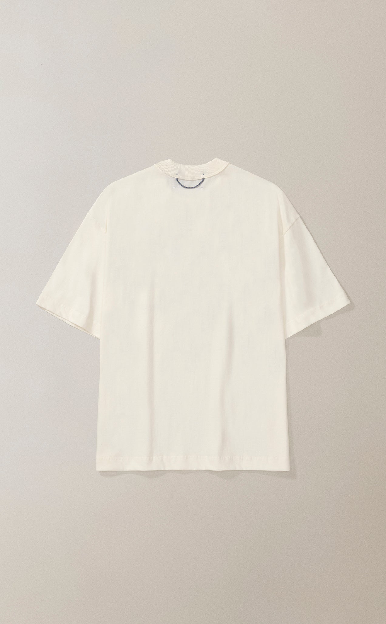 CAMISETA QC ARTHROPODS BOXY OFF WHITE