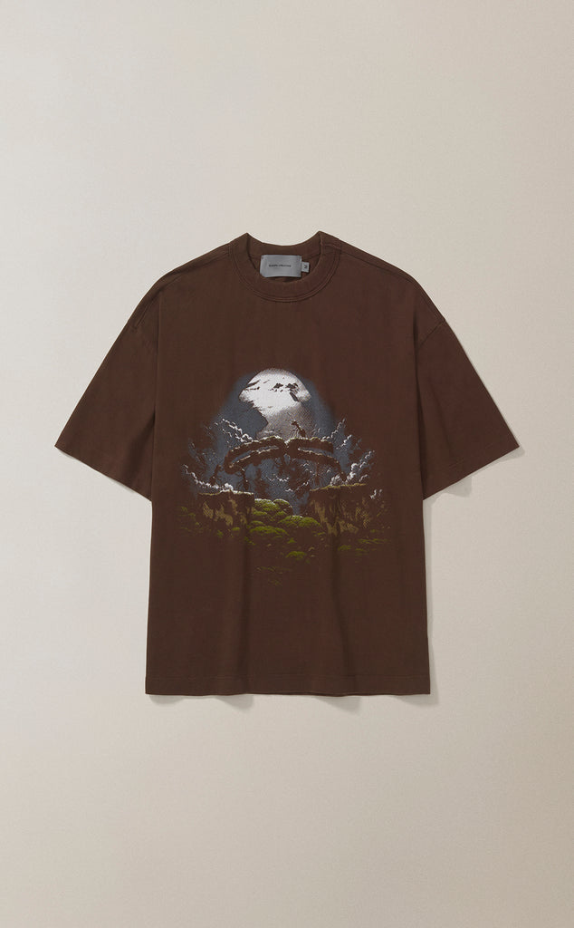 CAMISETA QC FORMIGAS BOXY STONED MARROM